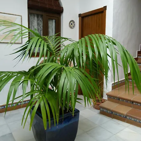 Casa de hóspedes Santa Catalina *