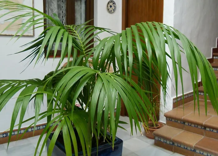 Gasthuis Santa Catalina 4*